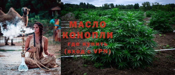 PSILOCYBIN Армянск