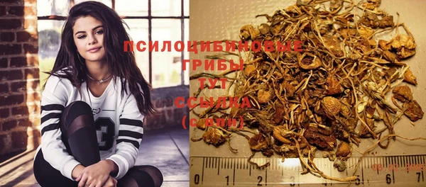 PSILOCYBIN Армянск