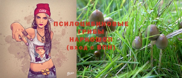 PSILOCYBIN Армянск