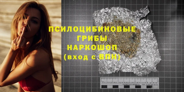 PSILOCYBIN Армянск