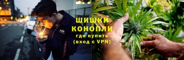 PSILOCYBIN Армянск