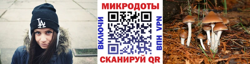 Псилоцибиновые грибы ЛСД  Купить где  Будённовск 